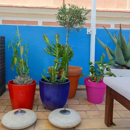 El Bendito Atico! By Cadiz4rentals (adults Only) Apartment *